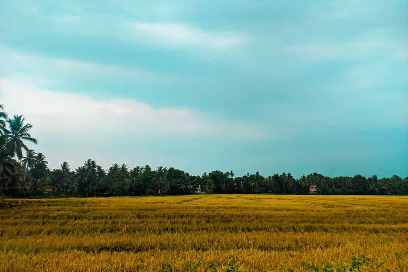 kuttanad